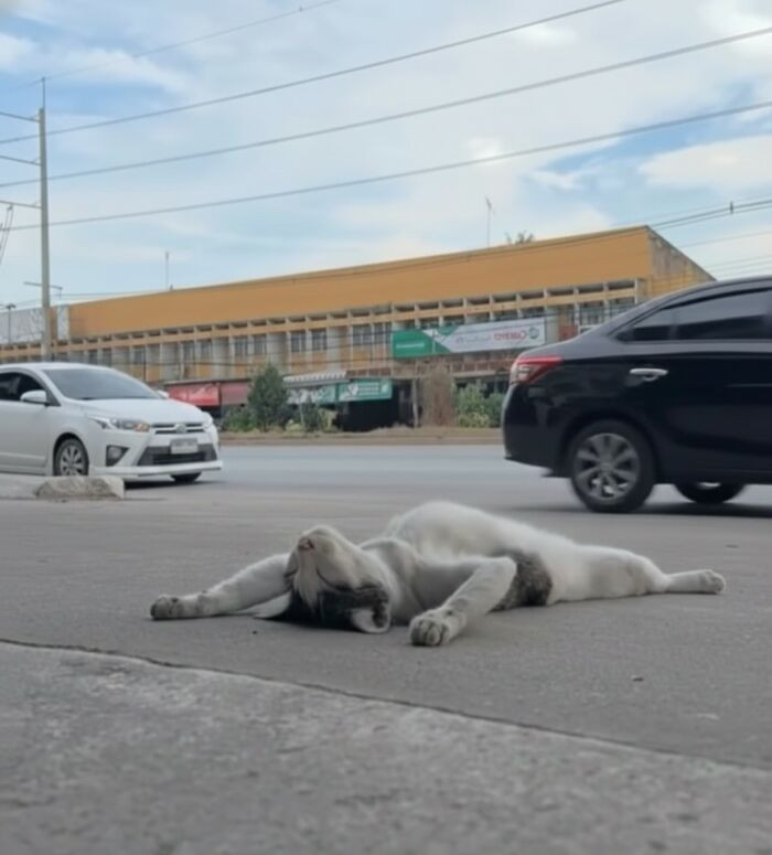 33. This is not an emergency. This is a lifestyle choice.