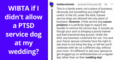 Redditor Asks If They Are Wrong For Not Allowing The Aunt's Untrained PTSD Service Dog At Their Wedding