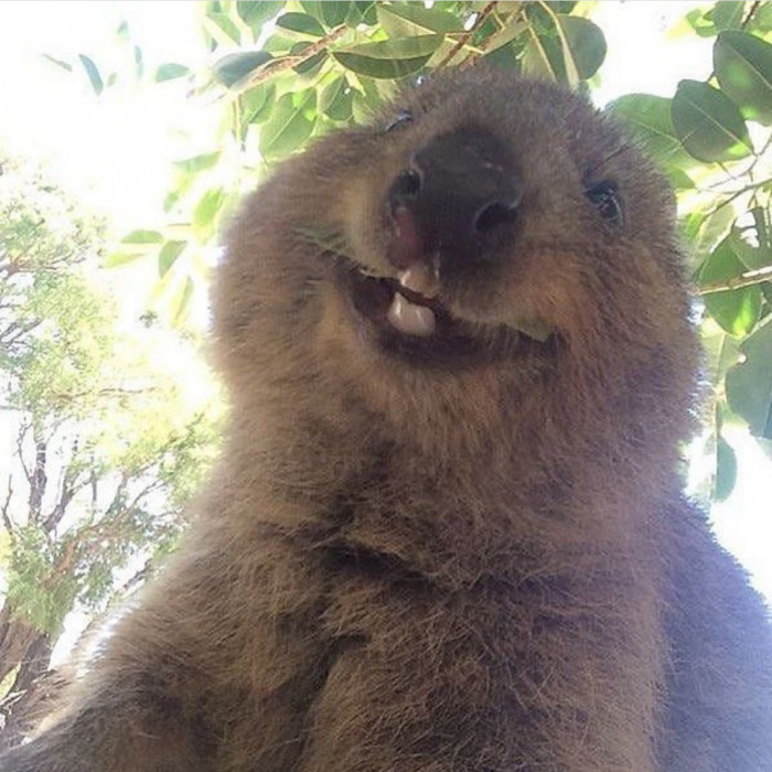 They always have a cheeky smile reserved for you