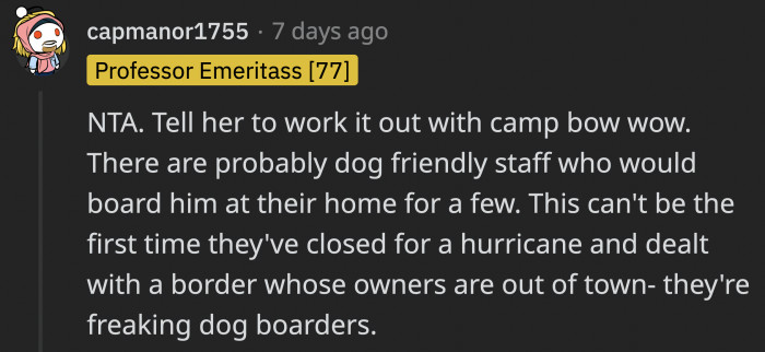 Instead of the aunt obligating OP to pick up her dog immediately, she could check in with the people from the camp first