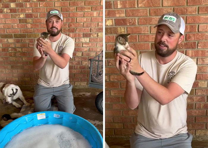 The kittens now seem a lot happier, and Robert has provided them with plenty of fun time, including baths, little photoshoots, and even a mini pool!