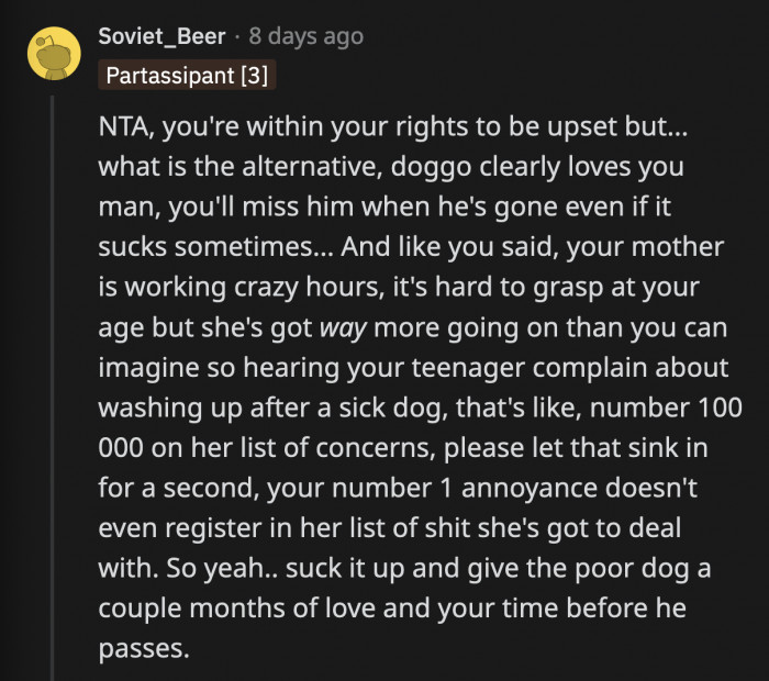 One commenter said OP needs to suck it up, and while she may be stuck caring for the dog 24/7, she owes it to him. They chose to have this dog, and with that comes the responsibility to take care of him his whole life, especially when he is this old.