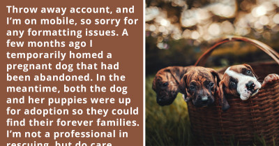 Redditor Puts Puppies They Rescued Up for Adoption; One Adopter Believes He Can Return the Puppy and Take It Back Again Without Consequences