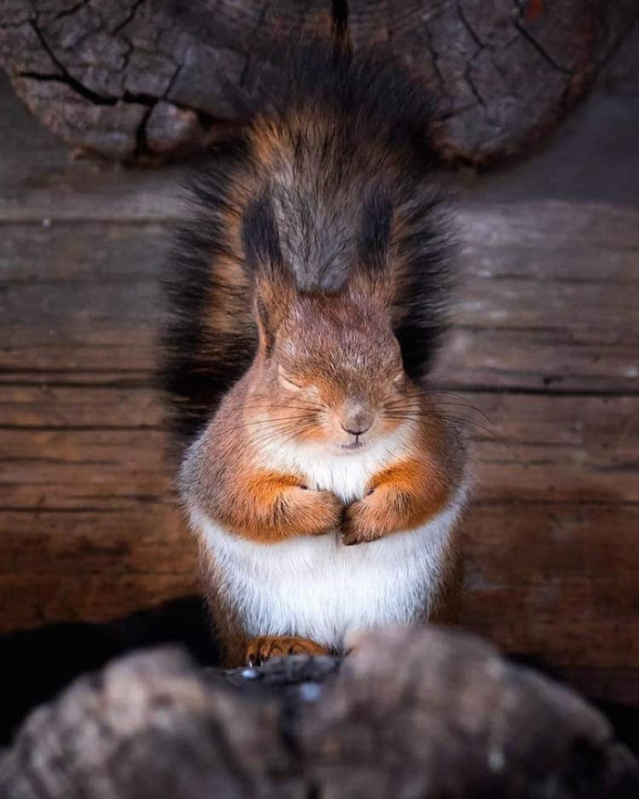 7. When you're into something surreal