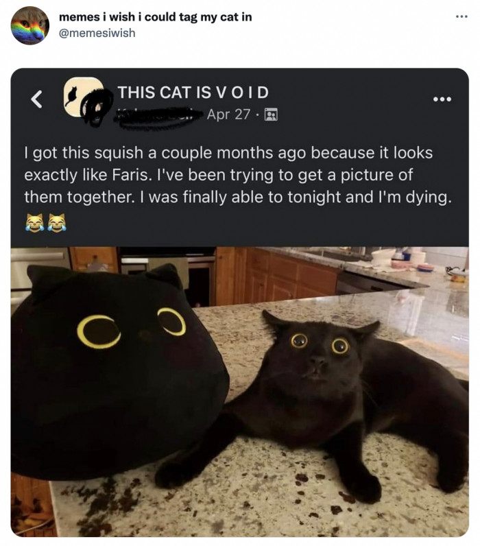 1. It's like looking in the mirror