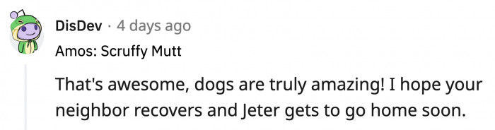 We agree wholeheartedly that dogs are amazing! Jeter is just one of the many dogs to prove that!