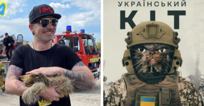 Courageous Cat In Ukraine Survives Months Without Food And Water And Becomes A Symbol of Hope For The People