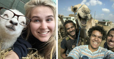 Animals That Seem To Have Mastered The Art Of The Selfie