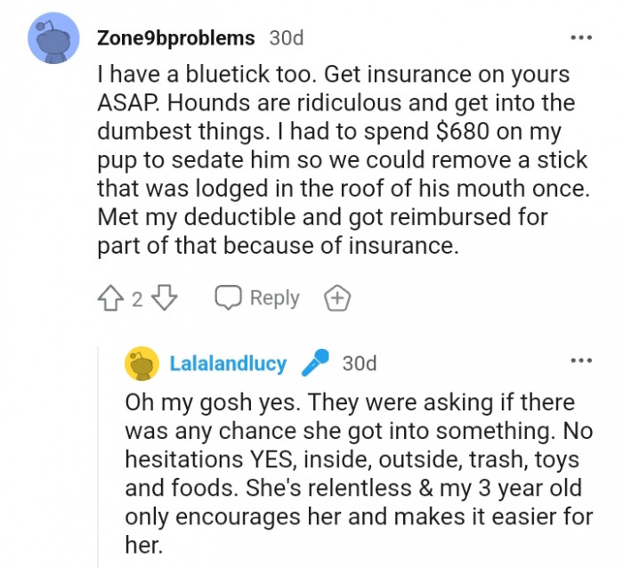 Get insurance as soon as possible