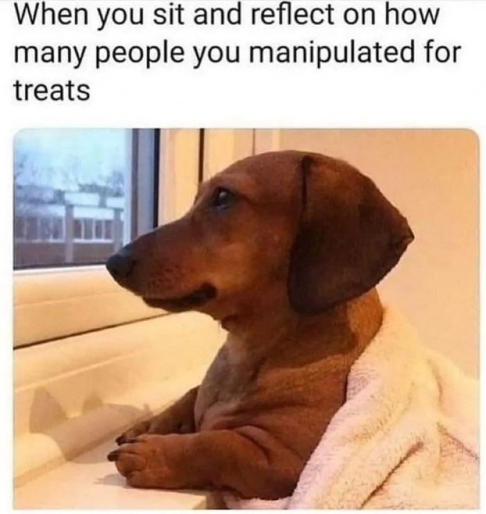 8. From his adorable expression, we'd say too many.