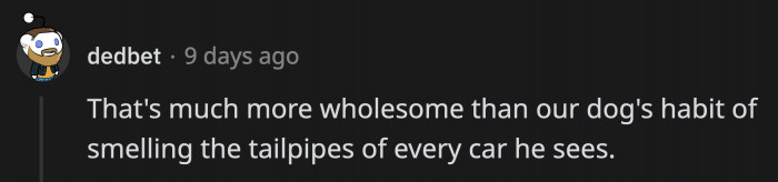 My dog sniffs the tires of every vehicle we pass by during his walks. Sounds like they would get along famously!