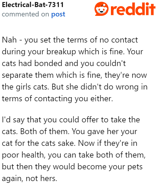 While the girlfriend could be lying, he can't just ignore his cat's condition. He can take both with him if his girlfriend cannot manage them.