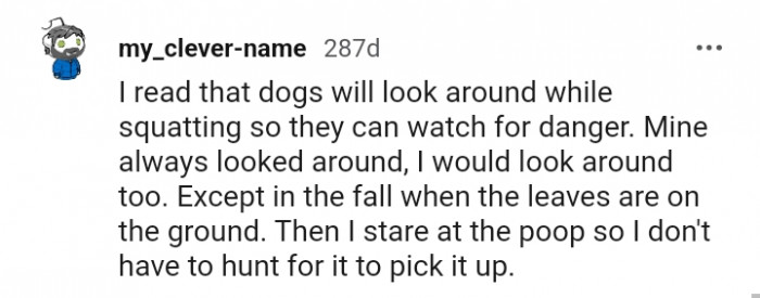 12. They look around to watch for danger