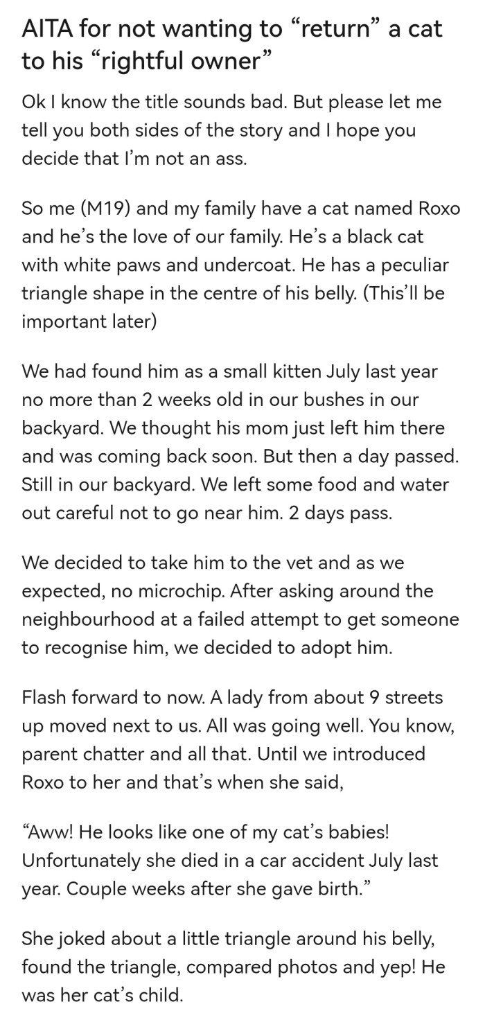 OP shared how he found his cat.