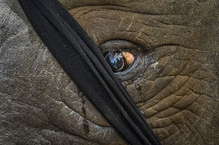 “Anthropocene” By Marcus Westberg