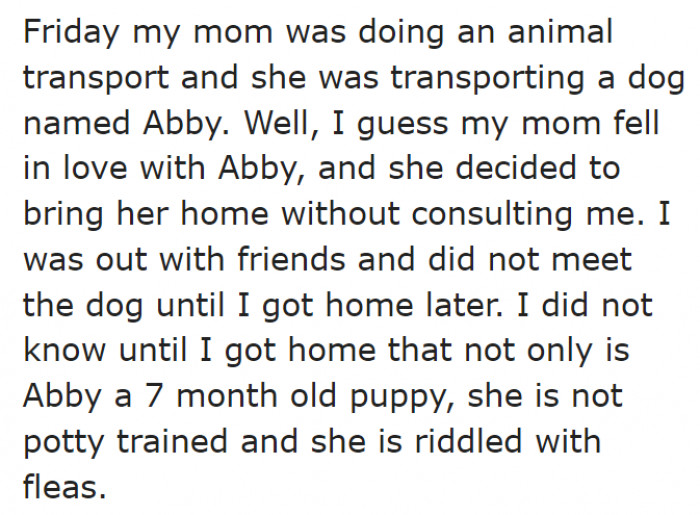 The OP's mom decided to adopt a dog without consulting her.