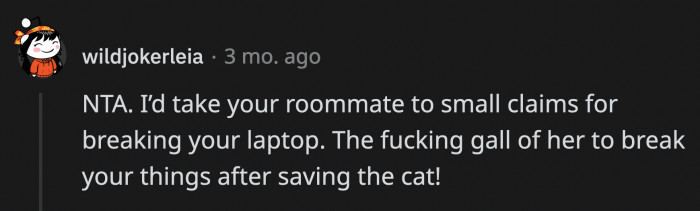 That was a scary overreaction, and OP should be compensated for her broken laptop.