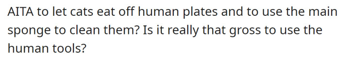 So, the OP wanted to know if they were in the wrong for using human plates to feed their cats: