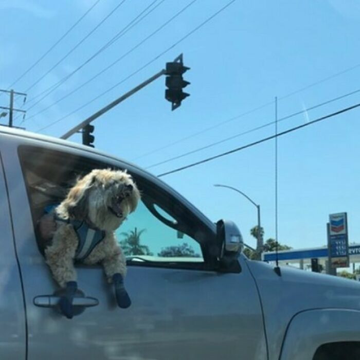 9. I want to screaaaamm my heart out!