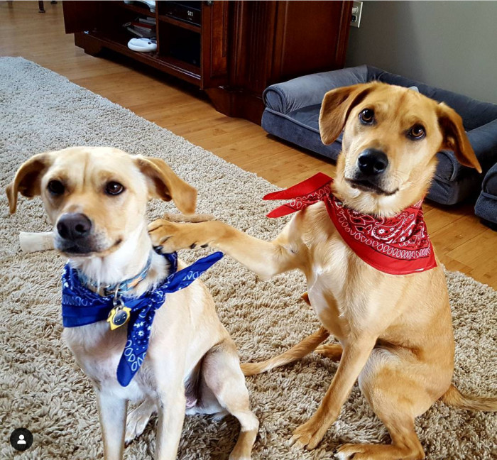 Absolutely inseparable, Wismar found out early on that wherever one goes, the other would follow