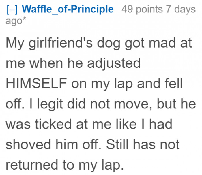 A Redditor shares a funny incident, wherein the dogs blames him for the accident he didn't cause.