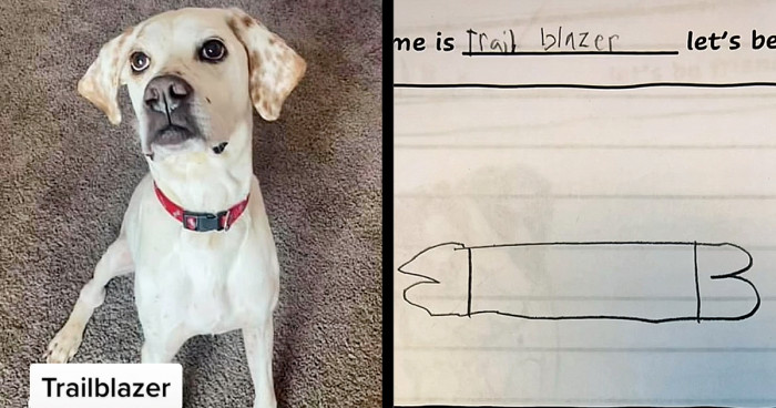 This is Trailblazer: