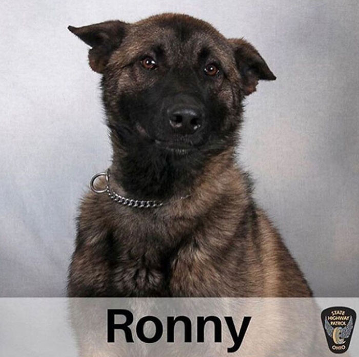 6. Ohio Highway Patrol's Ronny.