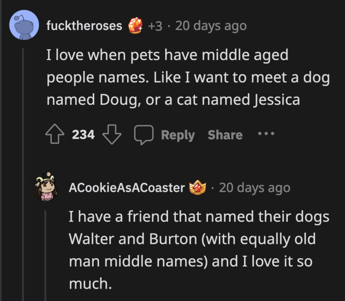 Giving family pets a person name is also funny. Would OP's co-workers appreciate it better if one of the pets was named John Williamson V?