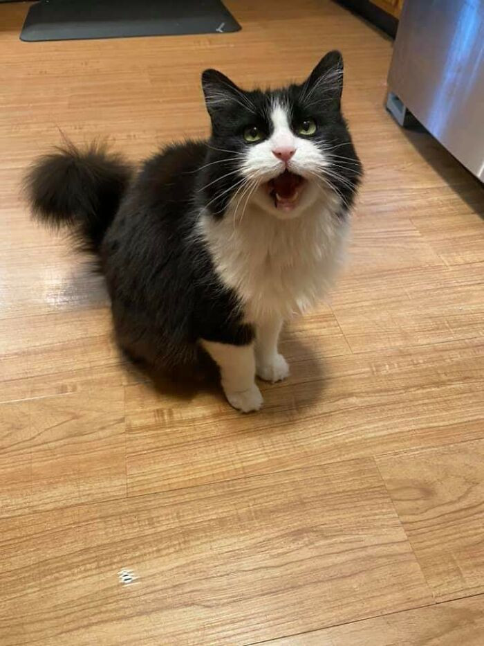 50. This scream queen just turned 15.