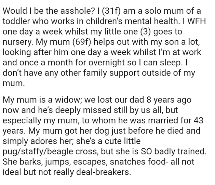 OP's mum helps out with her son a lot as she looks after him one day a week