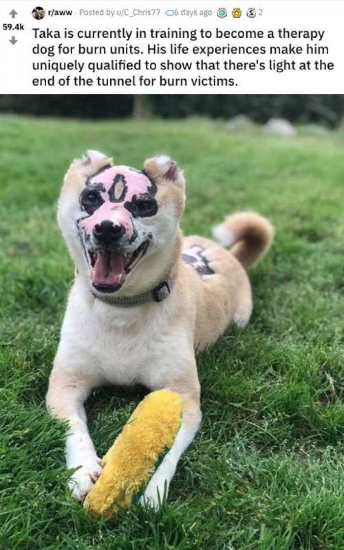 8. "Taka was badly burned in a house fire, but today he's as happy as can be."