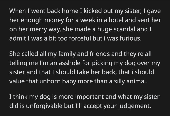 OP's sister told her sob story to their family and friends. OP is now the villain for choosing her dog over her sister. Was OP wrong to kick her sister out of the house for what she did?