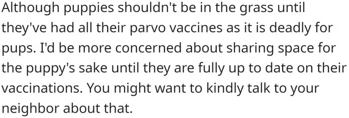 "Puppies shouldn't be in the grass until they've had all their parvo vaccines."