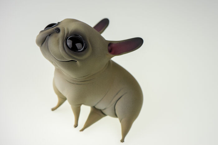 15. Here is Frenchie