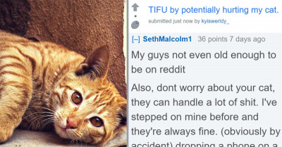 Boy Who Accidentally Dropped His Phone On His Cat Turns To Reddit To Unload His Guilt