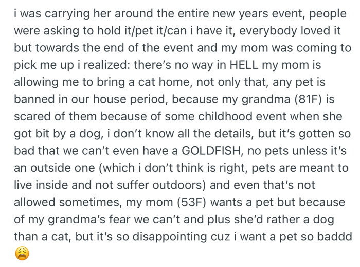 OP was enjoying the company of having a kitty, until it dawned on him that his mom was never going to allow him bring it home