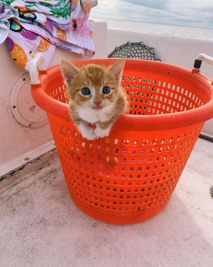 He loves hanging around the house with his family