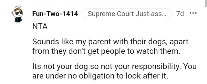 11. My parents don't get people to watch their dogs