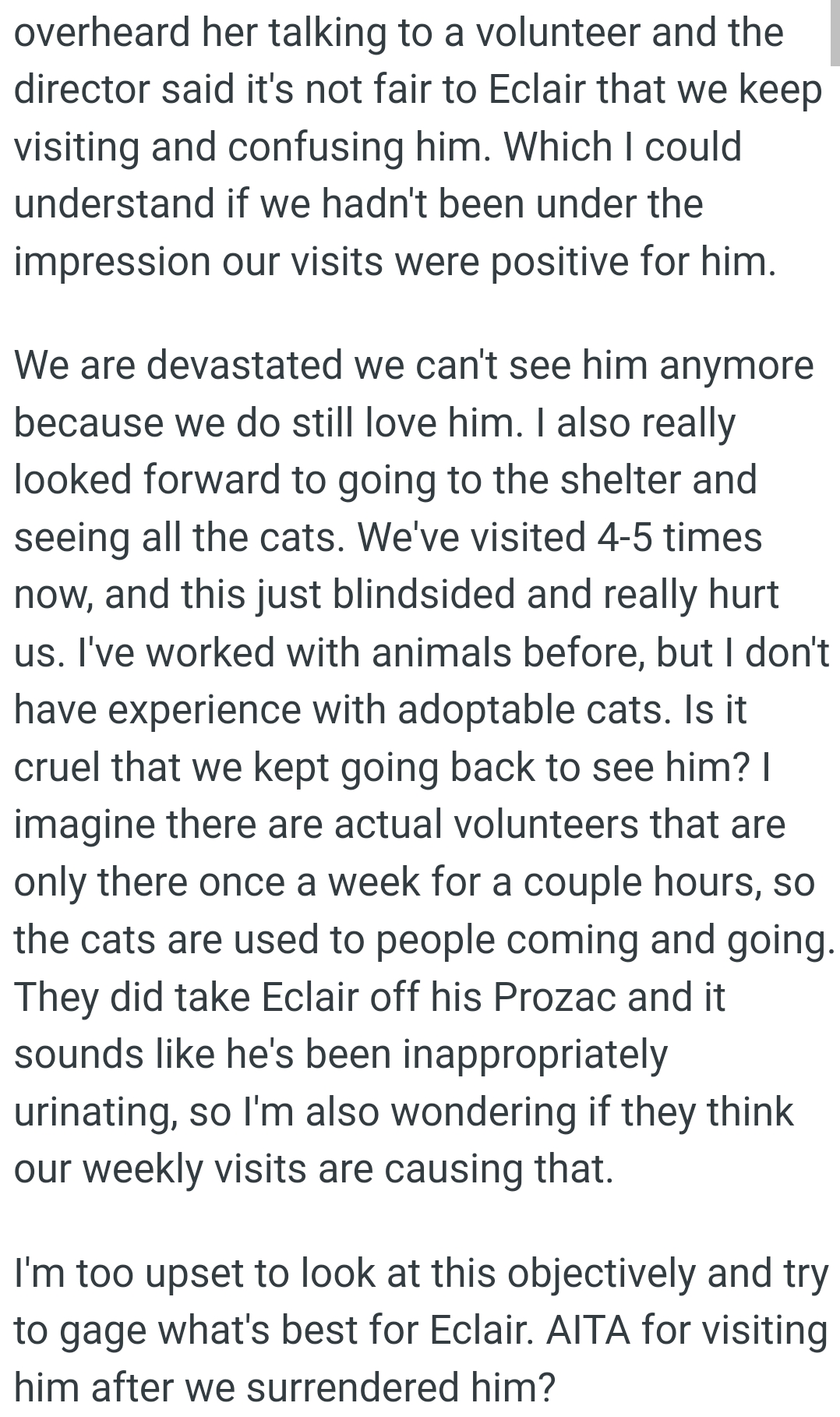 The OP has worked with animals before, but she doesn't have experience with adoptable cats