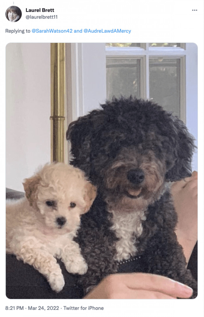 30. Don't you just want to run your hands through that curly fur?