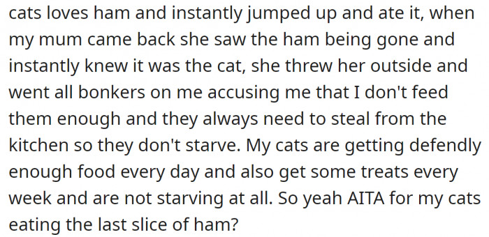 But this time, OP's mom got furious and said some things: