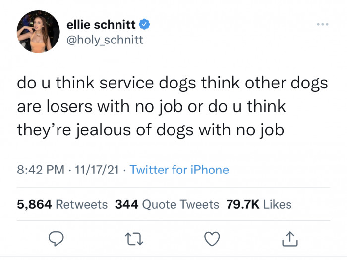 3. Dogs are the purest; they would never judge each other.