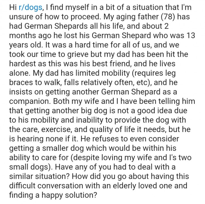 Getting another big dog is not a good idea due to his low mobility