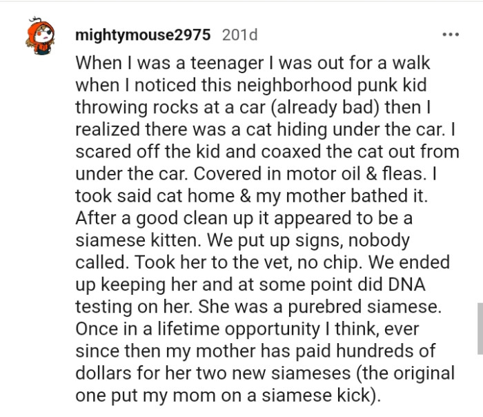 This Redditor shares how they got a Siamese cat, and it is a pretty interesting read