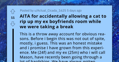 Woman Gets Back At Cheating Ex By Messing Up His Stuff And Claims A Stray Cat Did It, But Reddit Users Aren't Buying It