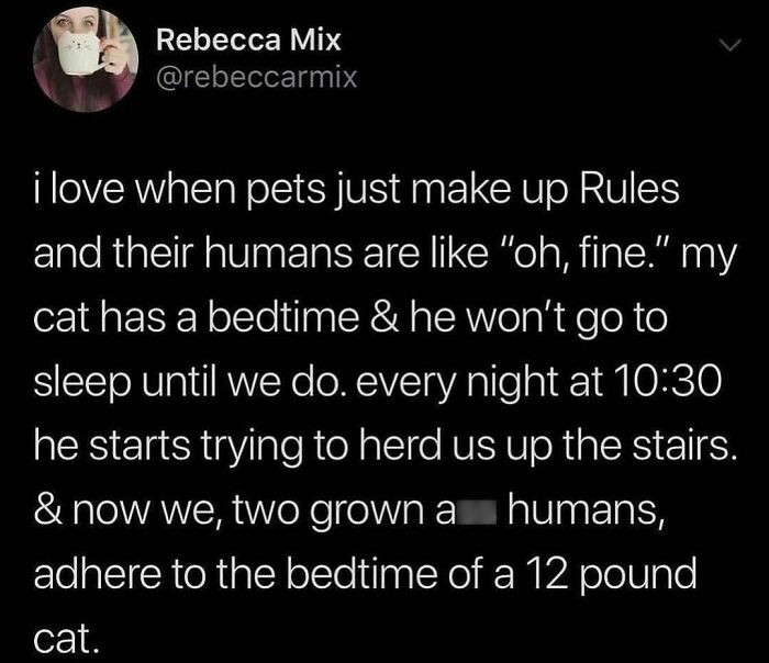 7. When humans adhere to the rules of a 12 pound cat
