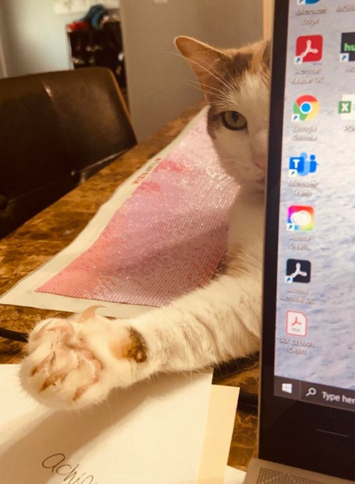 Pay. Attention. To. Me.