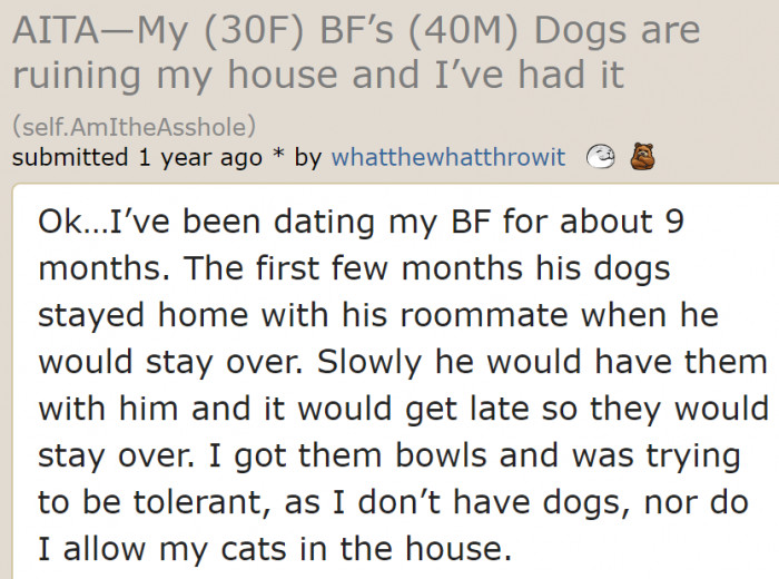 Isn't this situation unfair to her cats?