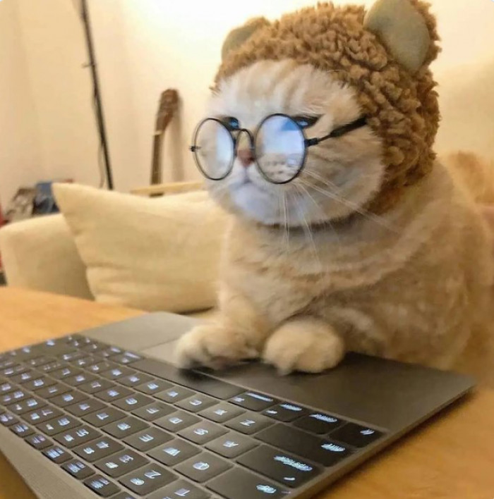 19. Doing some serious work.