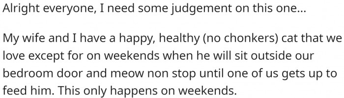 OP and his wife have a cat. And it got used to a pretty strict feeding schedule